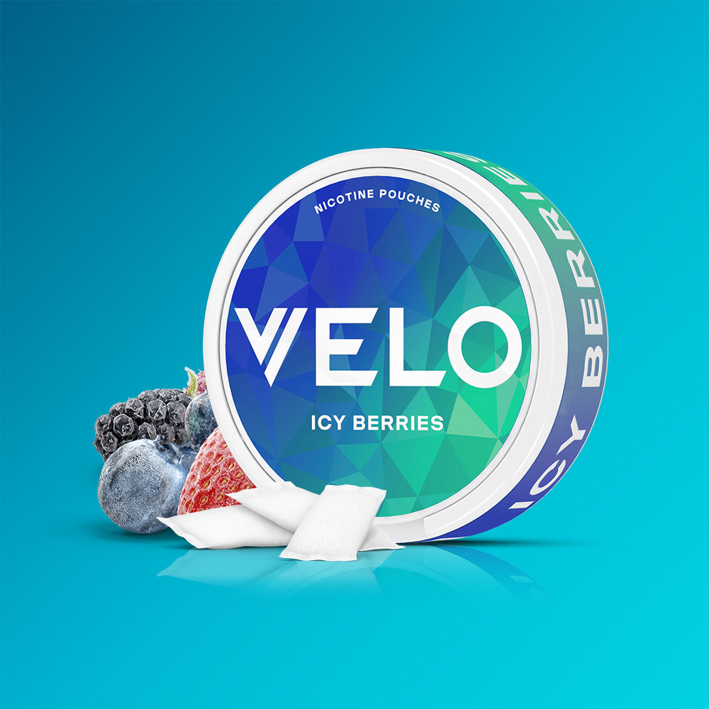 A round container of VELO Icy Berries nicotine pouches surrounded by fresh blackberries and blueberries, with a sliced strawberry and two white pouches resting in front.